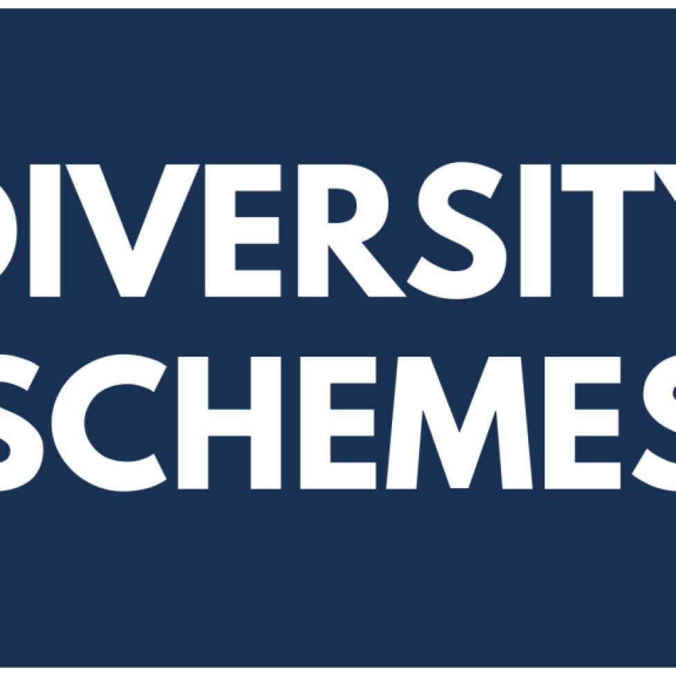 DIVERSITY SCHEMES