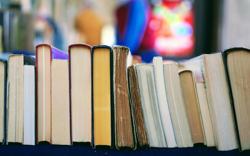 A photo of books lined up.